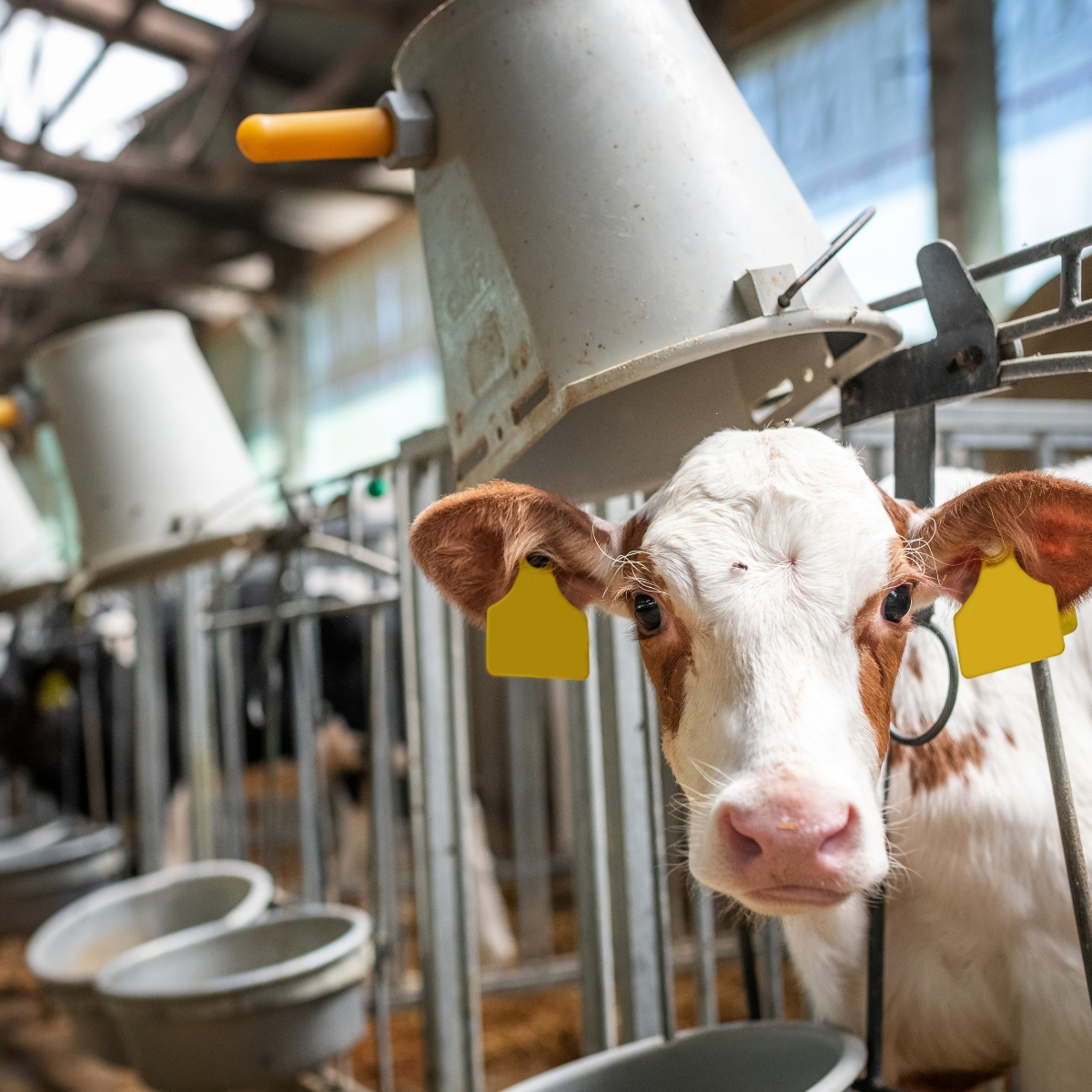 Disconnected Teams & Data